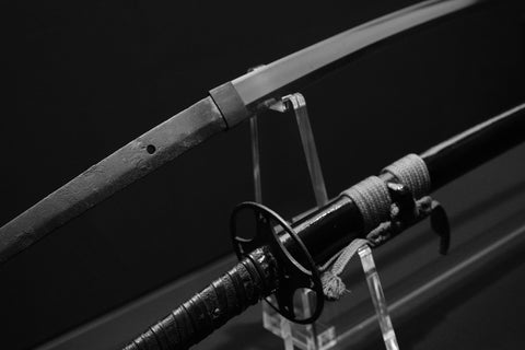 Dual Blades — The Spirit of Two Blades