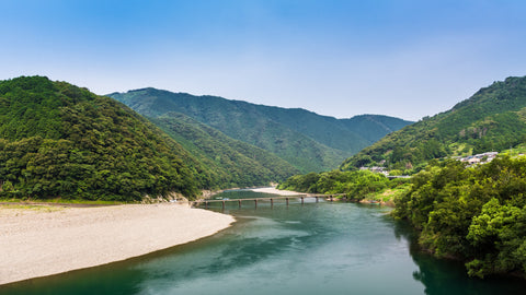 Tosa City in Kochi prefecture