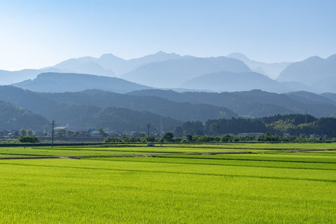Tsubame-Sanjo in Niigata prefecture