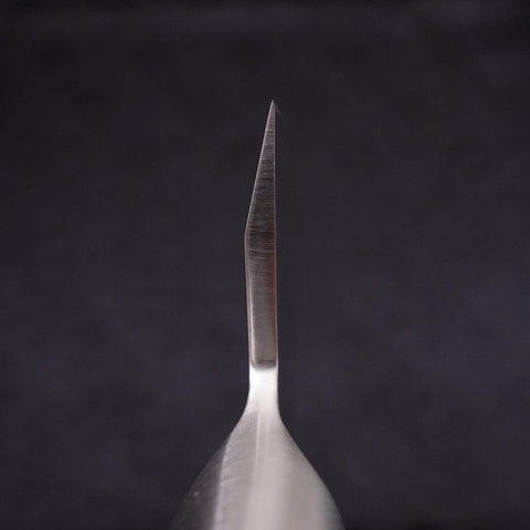 Deba All-Stainless Pure-Molybdenum 210mm