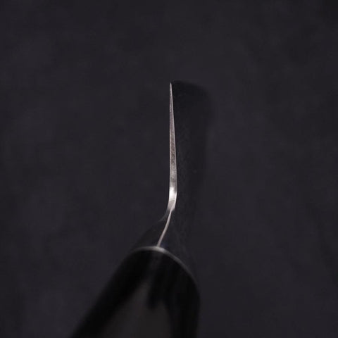 Gyuto VG-10 Damascus Western Round Handle 210mm