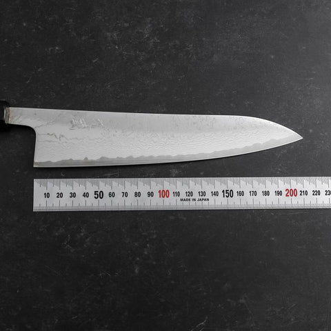 Gyuto VG-10 Nickel Damascus Buffalo Ebony Handle 210mm