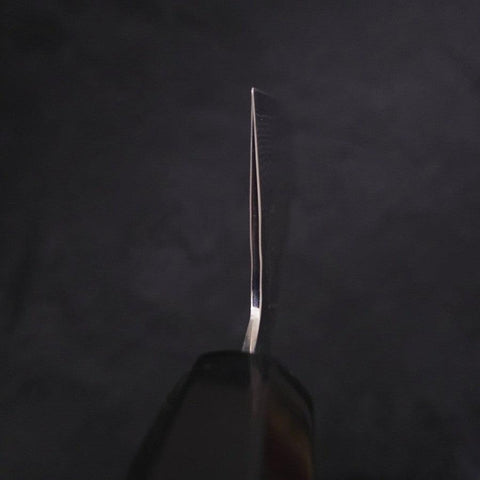Gyuto VG-10 Tsuchime Damascus Buffalo Ebony Handle 210mm
