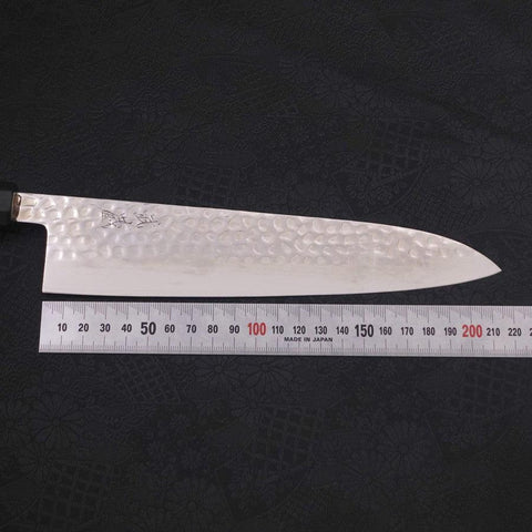 Gyuto VG-10 Tsuchime Damascus Buffalo Ebony Handle 210mm