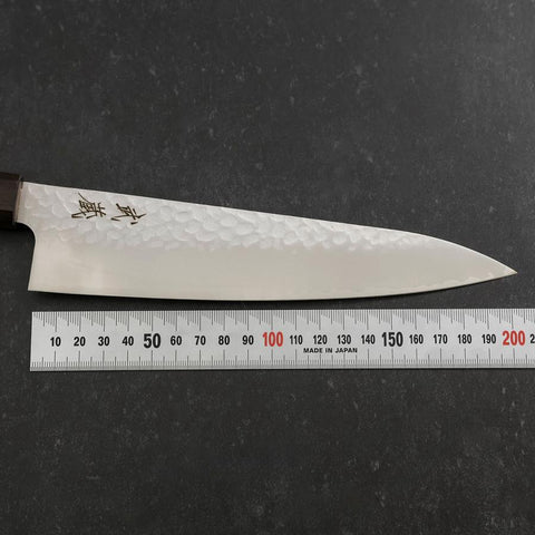 Gyuto VG-10 Tsuchime Ebony Handle 200mm