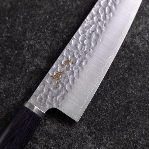 Gyuto VG-10 Tsuchime Oval Purple Handle 200mm