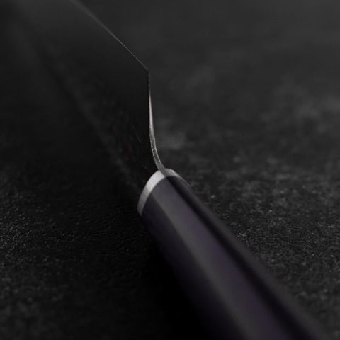 Gyuto VG-10 Tsuchime Oval Purple Handle 200mm