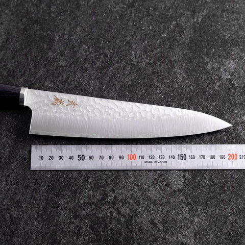 Gyuto VG-10 Tsuchime Oval Purple Handle 200mm