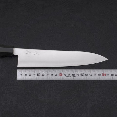 Gyuto ZDP-189 Polished Buffalo Chestnuts Handle 210mm