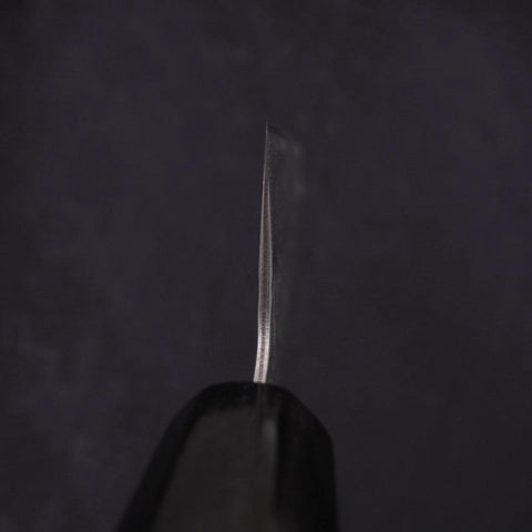 Kiritsuke AUS-10 Tsuchime Damascus Buffalo Magnolia Handle 210mm