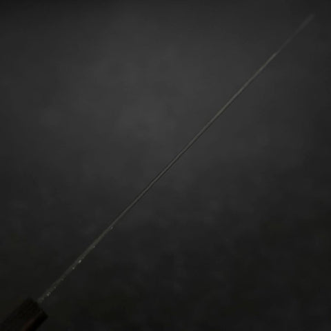 Kiritsuke SG-2 Black Nickel Damascus Ebony Handle 240mm