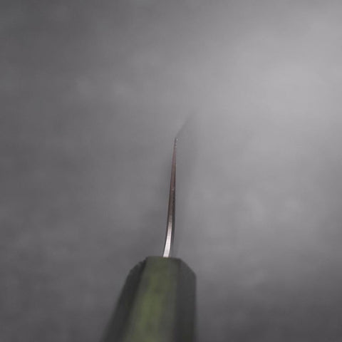 Kiritsuke SLD Polished Green Urushi Handle 240mm