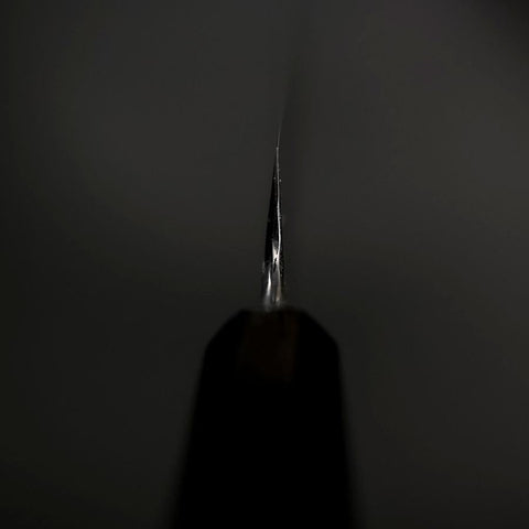 Sakimaru Takohiki Blue Steel #2 Kasumi Buffalo Ebony Handle 320mm