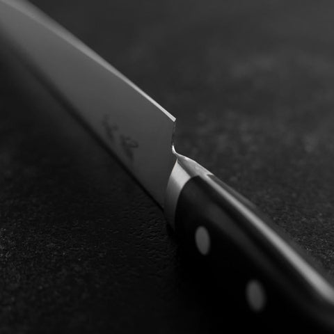 Sujihiki Molybdenum Polished Western Black Handle 210mm