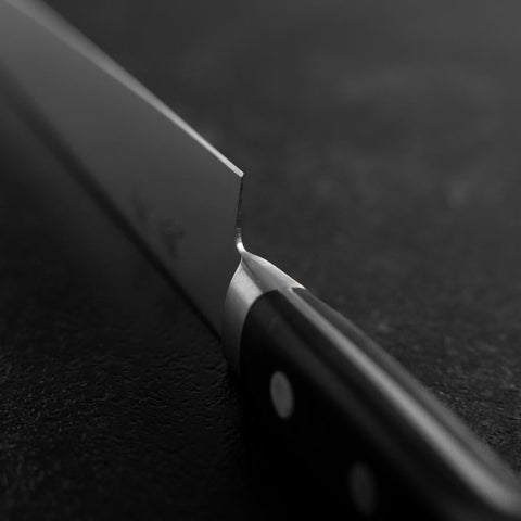 Sujihiki Molybdenum Polished Western Black Handle 250mm