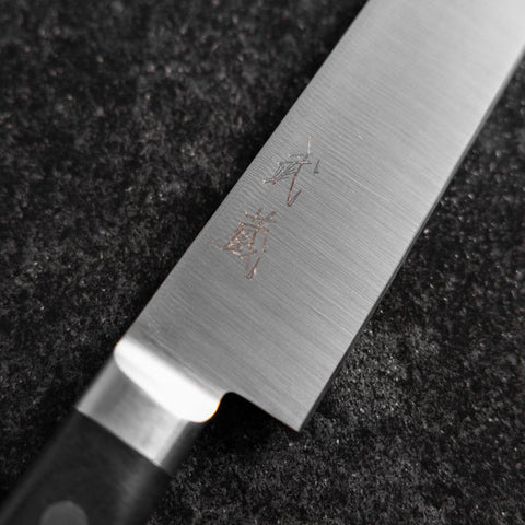 Sujihiki Molybdenum Polished Western Black Handle  270mm