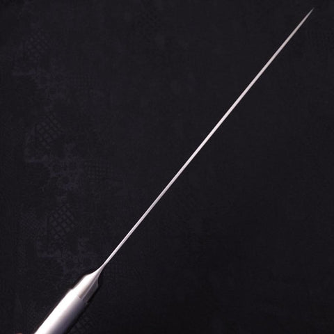 Sujihiki VG-5 Polished Western Handle 210mm