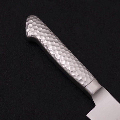 Sujihiki VG-5 Polished Western Handle 210mm