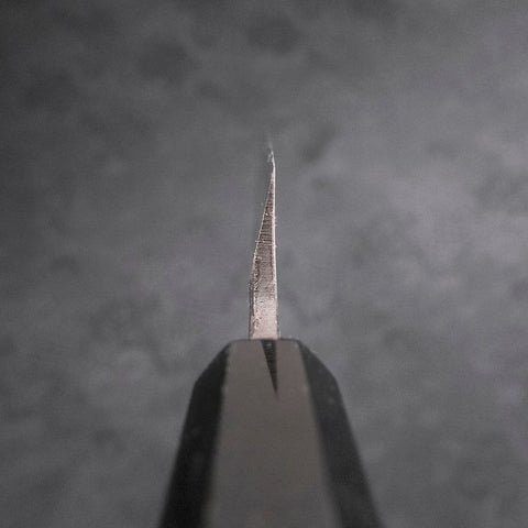 Yanagi Kiritsuke Blue Steel #2 Kurouchi Buffalo Ebony Handle 270mm